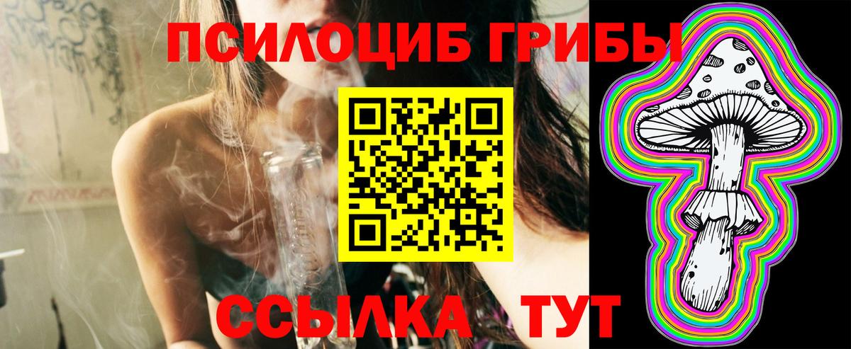 Псилоцибиновые грибы мицелий Пугачёв