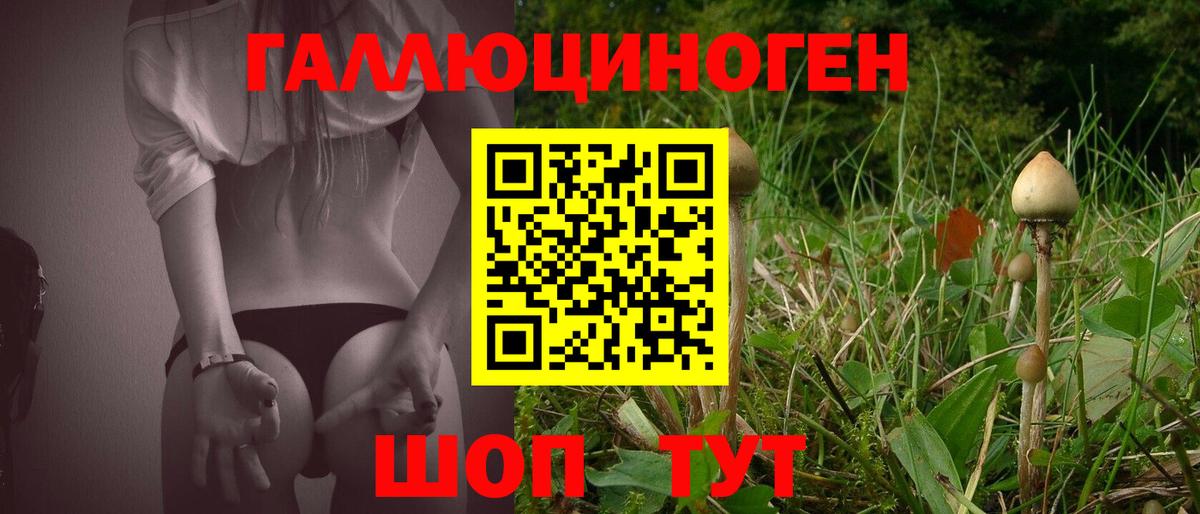 Псилоцибиновые грибы MAGIC MUSHROOMS  Вход с VPN  сколько стоит  Пугачёв 